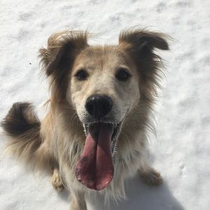 Meet your Posher, Jennie